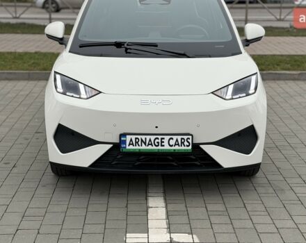 купити нове авто БІД Seagull 2025 року від офіційного дилера Алексей БІД фото