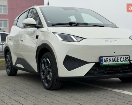 купити нове авто БІД Seagull 2025 року від офіційного дилера Алексей БІД фото