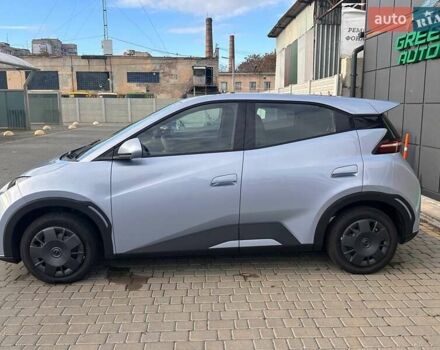 Сірий БІД Seagull, об'ємом двигуна 0 л та пробігом 1 тис. км за 15000 $, фото 10 на Automoto.ua