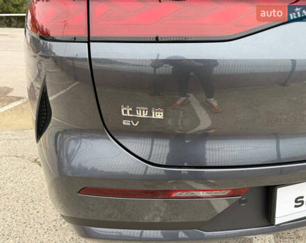 Сірий БІД Tang L, об'ємом двигуна 0 л та пробігом 1 тис. км за 40900 $, фото 28 на Automoto.ua