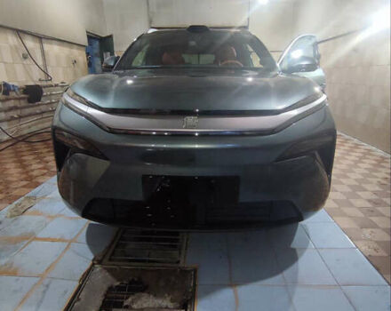 Зелений БІД Tang L, об'ємом двигуна 0 л та пробігом 2 тис. км за 45900 $, фото 33 на Automoto.ua