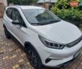 Белый БИД Yuan, объемом двигателя 0 л и пробегом 32 тыс. км за 16000 $, фото 9 на Automoto.ua