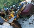 Багги Другая, объемом двигателя 1 л и пробегом 0 тыс. км за 485 $, фото 1 на Automoto.ua