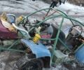 Багги Другая, объемом двигателя 1 л и пробегом 0 тыс. км за 485 $, фото 7 на Automoto.ua
