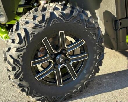 Баггі Інша, об'ємом двигуна 1 л та пробігом 0 тис. км за 17800 $, фото 8 на Automoto.ua