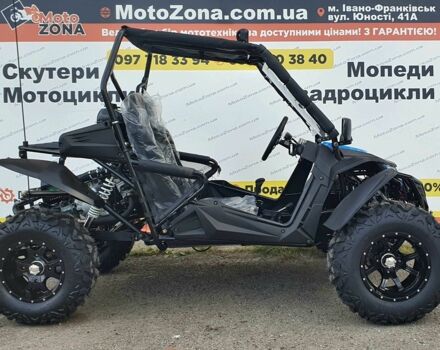 Багги Другая, объемом двигателя 0.3 л и пробегом 0 тыс. км за 3999 $, фото 14 на Automoto.ua