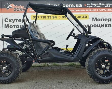 Багги Другая, объемом двигателя 0.3 л и пробегом 0 тыс. км за 3999 $, фото 2 на Automoto.ua