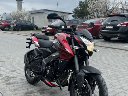Баджадж 4310 2024 в Львове на Automoto.ua Баджадж 4310, объемом двигателя 0.2 л и пробегом 0 тыс. км за 2950 $, фото 1 на Automoto.ua