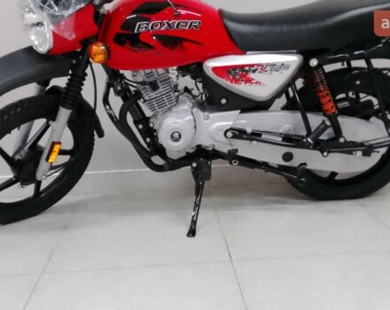 купить новое авто Баджадж Боксер 2024 года от официального дилера MotoHub Баджадж фото