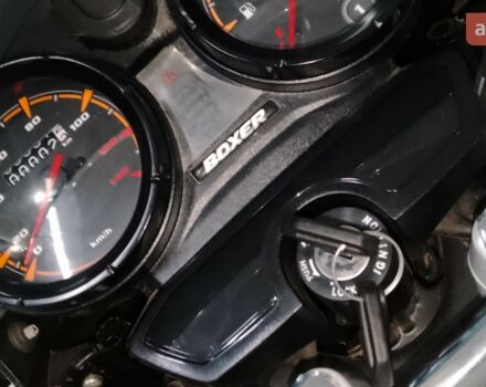 купить новое авто Баджадж Боксер 2024 года от официального дилера MotoHub Баджадж фото