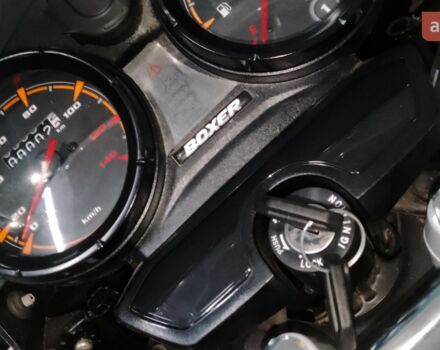 купить новое авто Баджадж Боксер 2024 года от официального дилера MotoHub Баджадж фото