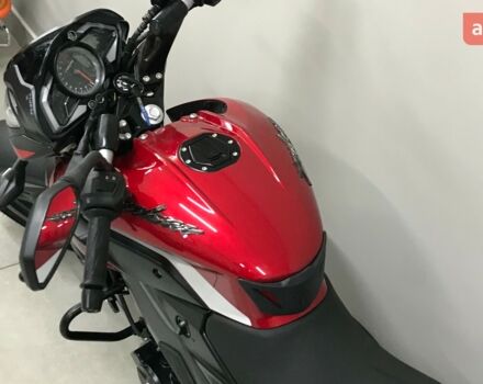 купить новое авто Баджадж Пульсар 2024 года от официального дилера MotoHub Баджадж фото