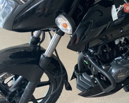 купить новое авто Баджадж Пульсар 2024 года от официального дилера Влад Баджадж фото