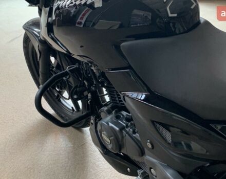 купить новое авто Баджадж Пульсар 2024 года от официального дилера Влад Баджадж фото