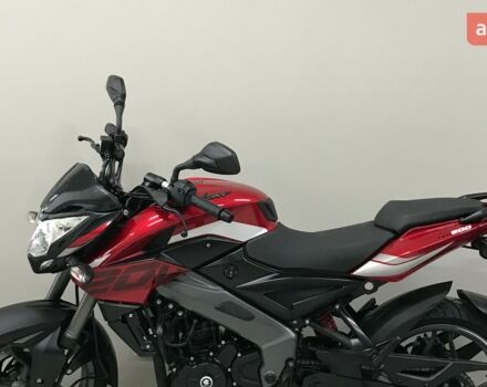 купить новое авто Баджадж Пульсар 2024 года от официального дилера MotoHub Баджадж фото
