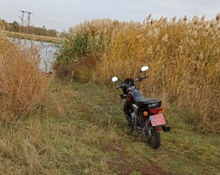 Баджадж Boxer 150, объемом двигателя 0.15 л и пробегом 0 тыс. км за 1217 $, фото 3 на Automoto.ua