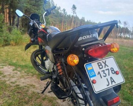 Чорний Баджадж Boxer X150, об'ємом двигуна 0 л та пробігом 3 тис. км за 1199 $, фото 11 на Automoto.ua