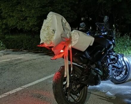 Баджадж Dominar, об'ємом двигуна 0 л та пробігом 0 тис. км за 3000 $, фото 4 на Automoto.ua