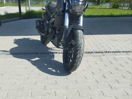 Баджадж Dominar D400 2020 у Гусятине на Automoto.ua Чорний Баджадж Dominar D400, об'ємом двигуна 0.37 л та пробігом 9 тис. км за 3650 $, фото 1 на Automoto.ua