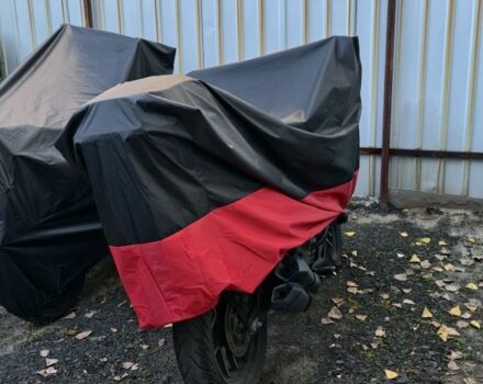 Баджадж DOMINAR D 400 2024 в Киеве на Automoto.ua Баджадж DOMINAR D 400, объемом двигателя 0.4 л и пробегом 0 тыс. км за 3600 $, фото 6 на Automoto.ua