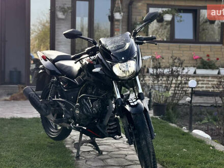 Баджадж Pulsar 180 2020 у Луцьку на Automoto.ua Баджадж Pulsar 180, об'ємом двигуна 0.2 л та пробігом 11 тис. км за 1258 $, фото 1 на Automoto.ua