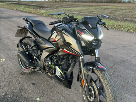 Баджадж Pulsar N250 2024 у Малой Виске на Automoto.ua Чорний Баджадж Pulsar N250, об'ємом двигуна 0.25 л та пробігом 7 тис. км за 2900 $, фото 1 на Automoto.ua