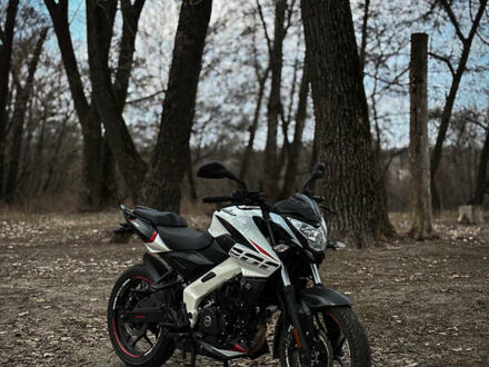 Баджадж Pulsar NS200 2023 у Сумах на Automoto.ua Білий Баджадж Pulsar NS200, об'ємом двигуна 0.2 л та пробігом 12 тис. км за 2500 $, фото 1 на Automoto.ua