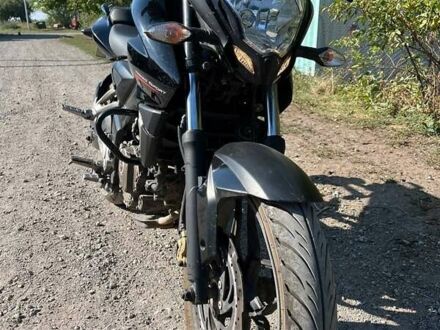 Баджадж Pulsar NS200 2016 в Зачепиловке на Automoto.ua Черный Баджадж Pulsar NS200, объемом двигателя 0.2 л и пробегом 32 тыс. км за 1500 $, фото 1 на Automoto.ua