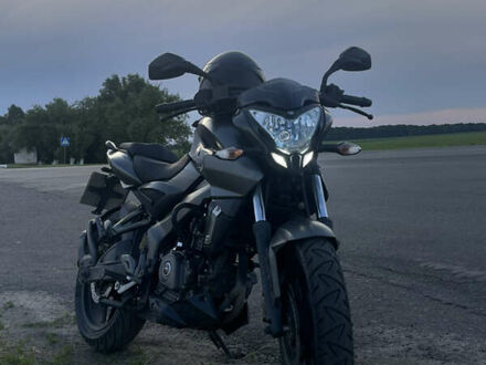 Баджадж Pulsar NS200 2018 в Ичне на Automoto.ua Черный Баджадж Pulsar NS200, объемом двигателя 0.2 л и пробегом 34 тыс. км за 1500 $, фото 1 на Automoto.ua