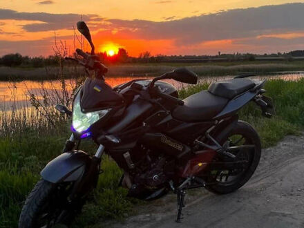 Баджадж Pulsar NS200 2019 в Новомосковске на Automoto.ua Черный Баджадж Pulsar NS200, объемом двигателя 0 л и пробегом 38 тыс. км за 2200 $, фото 1 на Automoto.ua