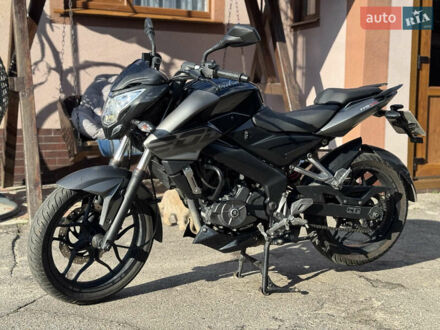 Баджадж Pulsar NS200 2019 в Гадяче на Automoto.ua Черный Баджадж Pulsar NS200, объемом двигателя 0.2 л и пробегом 11 тыс. км за 2048 $, фото 1 на Automoto.ua