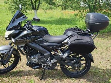 Баджадж Pulsar NS200 2019 в Бережанах на Automoto.ua Черный Баджадж Pulsar NS200, объемом двигателя 0.2 л и пробегом 19 тыс. км за 2450 $, фото 1 на Automoto.ua