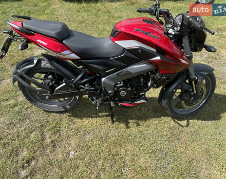 Красный Баджадж Pulsar NS200, объемом двигателя 0.2 л и пробегом 9 тыс. км за 2600 $, фото 3 на Automoto.ua