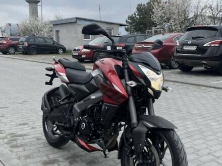 Баджадж Pulsar NS200 2024 в Львове на Automoto.ua Красный Баджадж Pulsar NS200, объемом двигателя 0 л и пробегом 1 тыс. км за 2850 $, фото 1 на Automoto.ua
