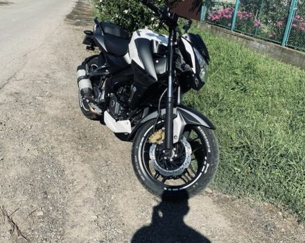 Баджадж Pulsar NS200, объемом двигателя 0.2 л и пробегом 0 тыс. км за 2350 $, фото 1 на Automoto.ua
