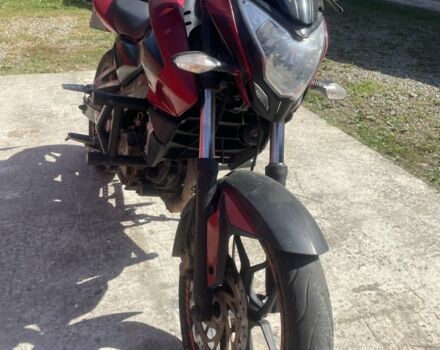Баджадж Pulsar NS200, об'ємом двигуна 0.2 л та пробігом 0 тис. км за 1800 $, фото 1 на Automoto.ua