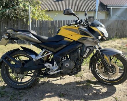 Баджадж Pulsar NS200, об'ємом двигуна 0.2 л та пробігом 0 тис. км за 1200 $, фото 1 на Automoto.ua