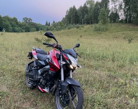 Баджадж Pulsar NS200, объемом двигателя 0.2 л и пробегом 0 тыс. км за 2800 $, фото 1 на Automoto.ua