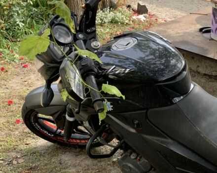 Баджадж Pulsar NS200, объемом двигателя 0.2 л и пробегом 0 тыс. км за 1500 $, фото 1 на Automoto.ua