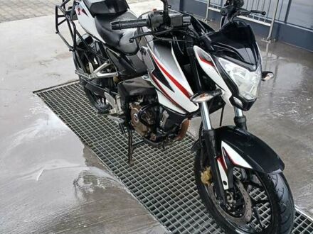 Баджадж Pulsar NS200 2017 у Белой Церкве на Automoto.ua Баджадж Pulsar NS200, об'ємом двигуна 0.2 л та пробігом 23 тис. км за 1600 $, фото 1 на Automoto.ua