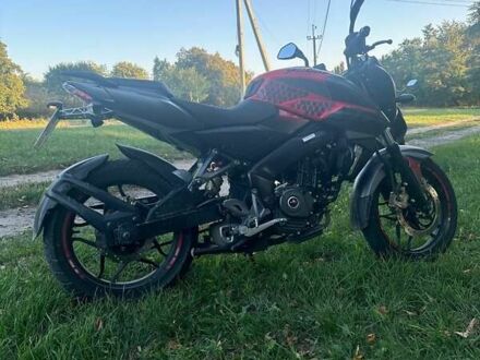 Баджадж Pulsar NS200 2019 у Вінниці на Automoto.ua Баджадж Pulsar NS200, об'ємом двигуна 0 л та пробігом 22 тис. км за 1650 $, фото 1 на Automoto.ua