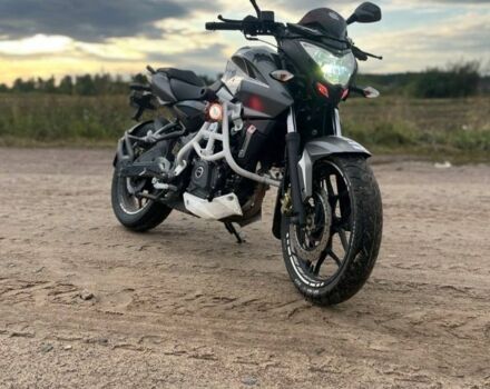 Баджадж Pulsar NS200, об'ємом двигуна 0.2 л та пробігом 0 тис. км за 2150 $, фото 1 на Automoto.ua