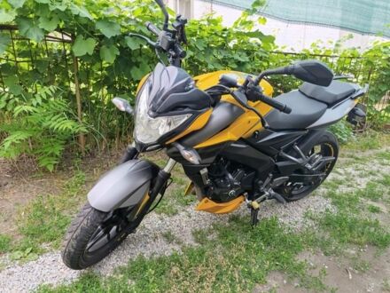 Баджадж Pulsar NS200 2019 у Дніпро (Дніпропетровську) на Automoto.ua Баджадж Pulsar NS200, об'ємом двигуна 0.2 л та пробігом 0 тис. км за 2000 $, фото 1 на Automoto.ua