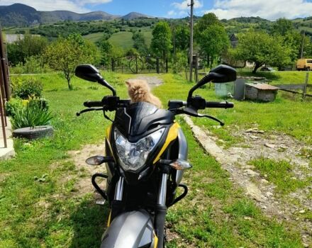 Баджадж Pulsar NS200, объемом двигателя 0.2 л и пробегом 0 тыс. км за 1780 $, фото 1 на Automoto.ua