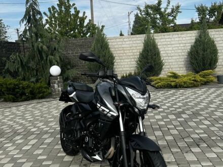 Баджадж Pulsar NS200 2023 в Полтаве на Automoto.ua Баджадж Pulsar NS200, объемом двигателя 0.2 л и пробегом 0 тыс. км за 2500 $, фото 1 на Automoto.ua