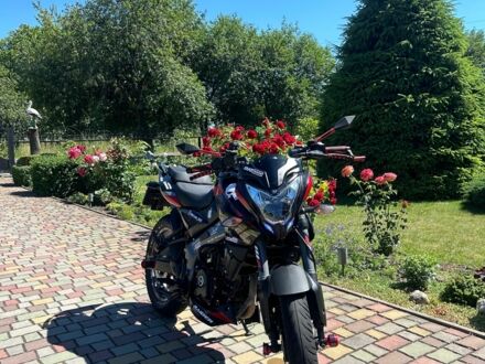 Баджадж Pulsar NS200 2024 в Дубно на Automoto.ua Баджадж Pulsar NS200, объемом двигателя 0.2 л и пробегом 0 тыс. км за 2524 $, фото 1 на Automoto.ua