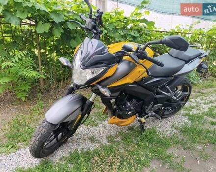 Жовтий Баджадж Pulsar NS200, об'ємом двигуна 0.2 л та пробігом 28 тис. км за 2000 $, фото 1 на Automoto.ua