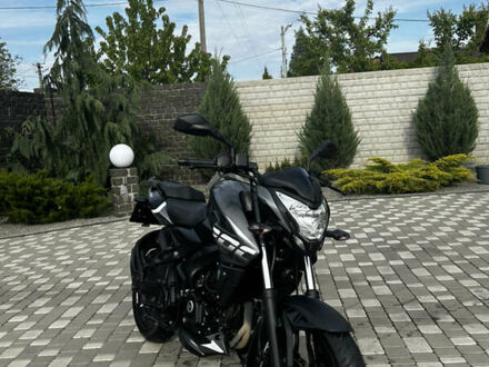 Баджадж Pulsar NS200 2023 у Полтаві на Automoto.ua Сірий Баджадж Pulsar NS200, об'ємом двигуна 0.2 л та пробігом 5 тис. км за 2450 $, фото 1 на Automoto.ua