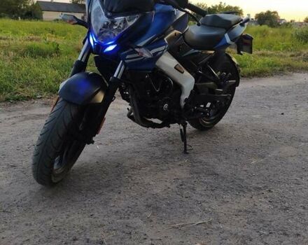 Синий Баджадж Pulsar NS200, объемом двигателя 0 л и пробегом 27 тыс. км за 1750 $, фото 3 на Automoto.ua