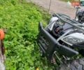 Белый Башан БС200, объемом двигателя 0 л и пробегом 1 тыс. км за 1749 $, фото 19 на Automoto.ua